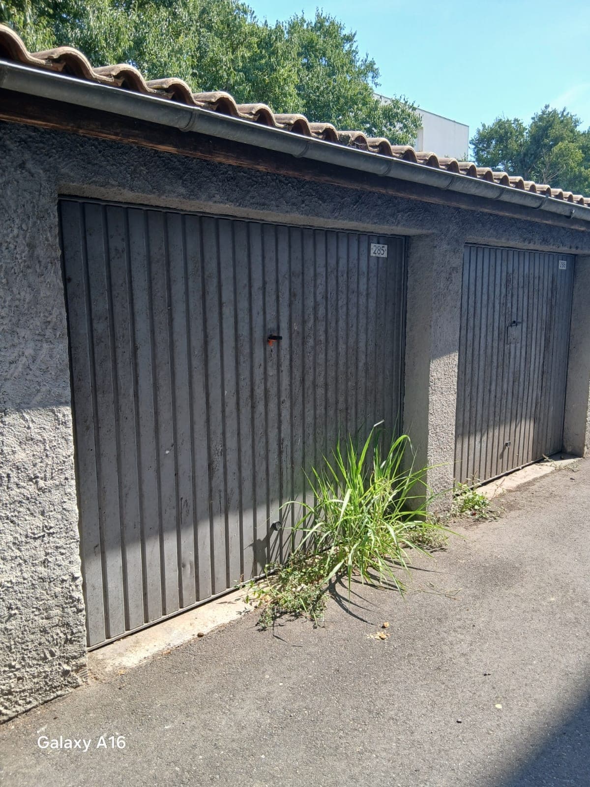Abords de garages envahis par la végétation