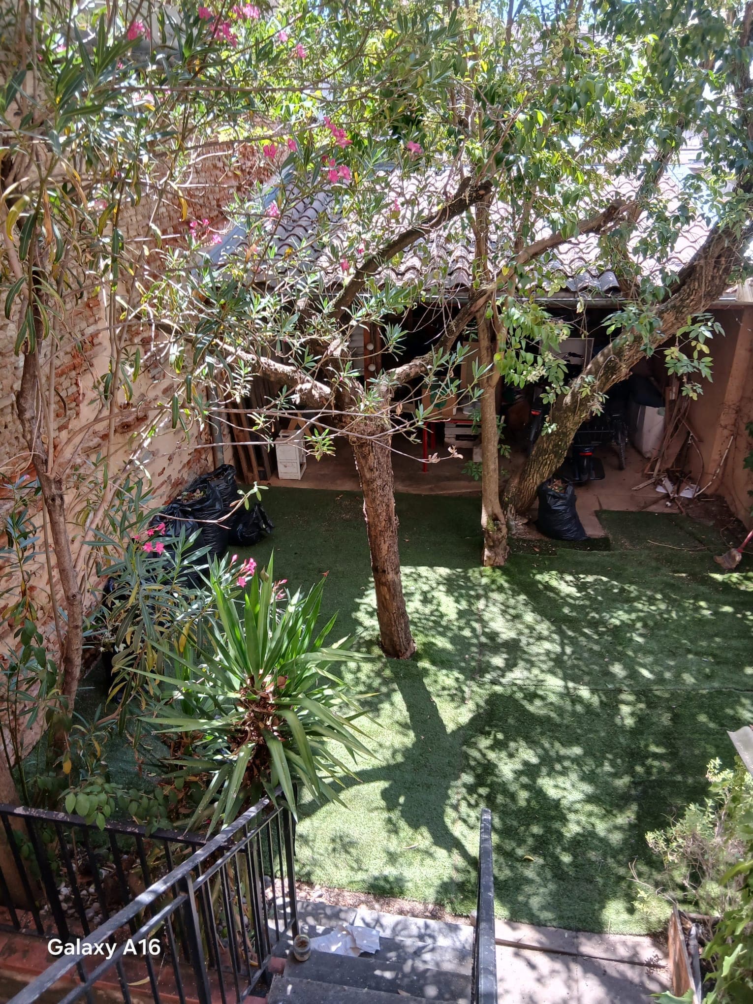 Jardin dégagé et déchets verts évacués à Toulouse