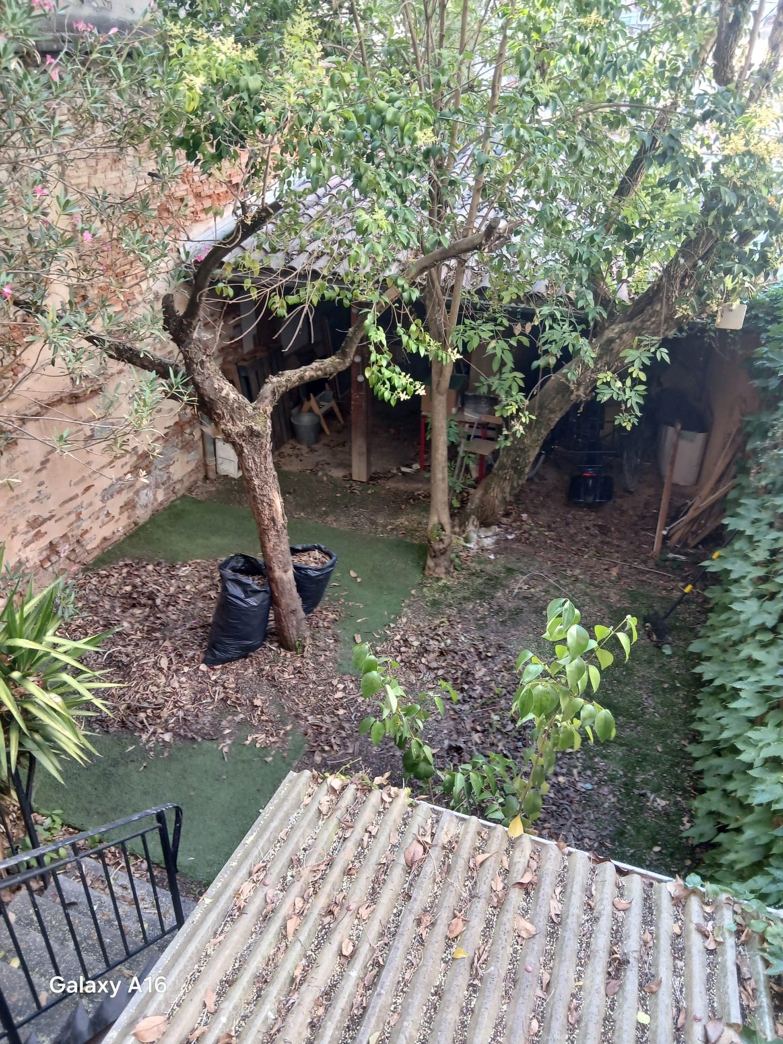 Jardin recouvert de feuilles mortes